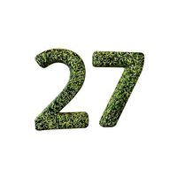 Date Number 27 v2 001