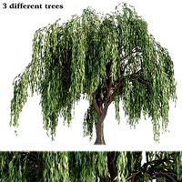Weeping willow trees collection vol 115
