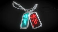 Holotag Necklace