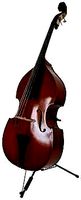 Countel bass