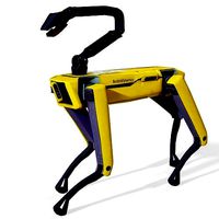 Boston Dynamics Spot Robot