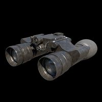 Night Google 3d model