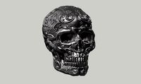 Ornament skull a12 3d print model  | 3D