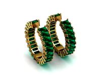 earrings jewelry 3D print model | 3D