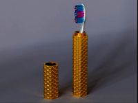 Travel Tooth brush Case 07 | 3D