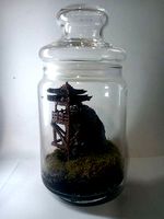Japanese Model For Aquarium and Terrarium  | 3D