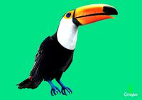 Toucan Toco | 3D