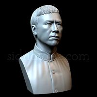 Donnie Yen as Ip Man | 3D