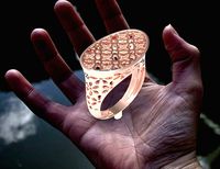 rings rings | 3D