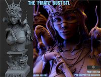 The Pirate | 3D
