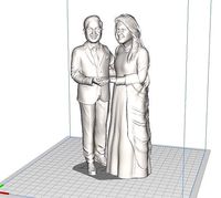 Pakistani wedding valima couple | 3D