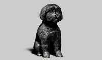 dog a01 3d print model | 3D