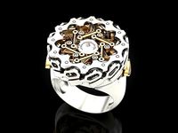 Dynamic mechanical ring | 3D