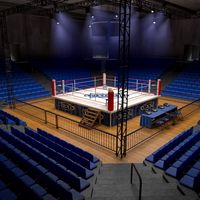 Boxing Stadium 3D Model