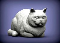 british shorthair cat | 3D