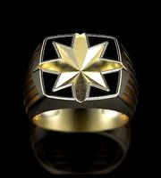 Star gold men ring | 3D