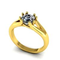 Ring Model 1889 | 3D