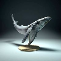 Humpback Whale | 3D