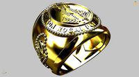 Our Lady of Aparecida Ring - Nossa Senhora | 3D