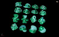 ring gold Jewelery 3D print model 3D print model  | 3D