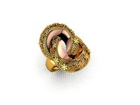 ring 79 | 3D