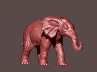 Elephant Calf | 3D