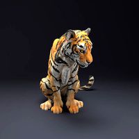 Bengal Tiger Sit for 3D Printing | 3D