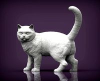 british shorthair cat  | 3D
