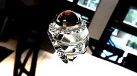 Ring 99 | 3D