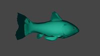 fish 3Dmodel