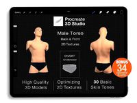 Procreate 3d Model - Torso Body Male