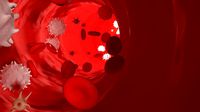 Bloodstream
