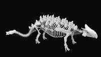 Ankylosaurus skeleton
