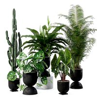 Plants collection 140