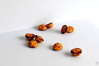 Chestnut 003