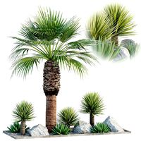 Outdoor Palm Garden collection vol 146