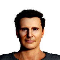 Liam Neeson 3D Rigged model ready for animation