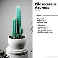 Realistic cactus Pilosocereus Azureus with pot