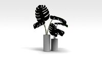 Pot Plant