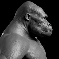 Gorilla - Highpoly Sculpture 3D model