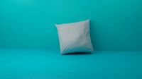 white pillow