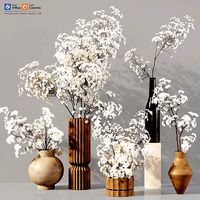Collection Indoor Plants 030