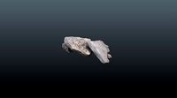 Scan Debris