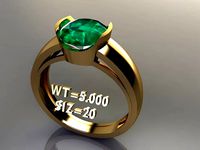 FSEN RING