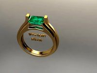 FSEN RING