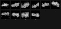 Fog 2490 Alpha Patterns 4K Size Full Pac