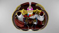 Pelvis and Perineum