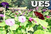 Impatiens Walleriana Buzy Lizzie balsam PBR Lowpoly 3d Model