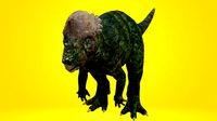 pachycephalosaurus Dinosaur