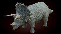 Triceratops Dinosaur